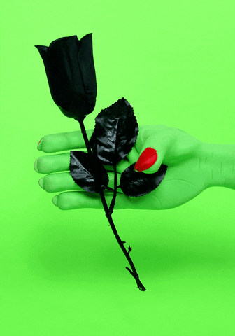 Halloween Rose GIF by callmemabi