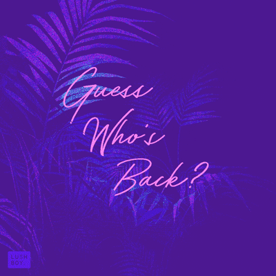 Palm Tree 80S GIF by Allison House