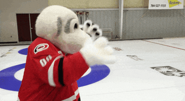dance celebrate GIF by Charlotte Checkers