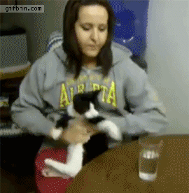 theduke cat drink mine GIF