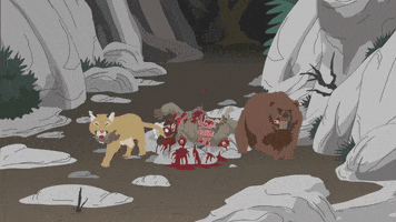 MOUNTAIN LION bear GIF by South Park 