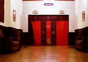 cynicat  GIF