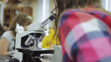 Research Microscope GIF by Laurentian University