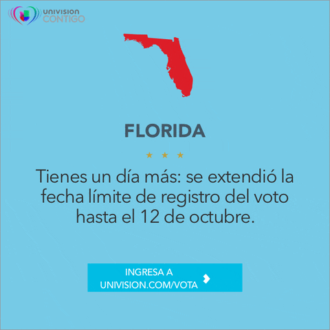 florida vote GIF by Univision Noticias