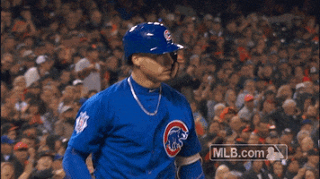 chicago cubs gtfo GIF by MLB