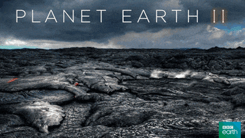 planet earth 2 flow GIF by BBC Earth