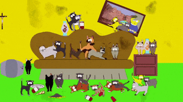 Cat House kitties GIF by South Park 