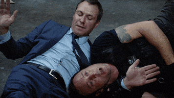 steve mcgarrett i guess we can call that a draw GIF by CBS