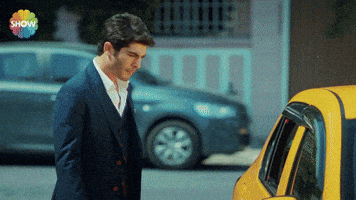 showtv  GIF