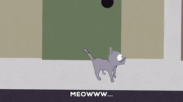 aroused cat GIF by South Park 