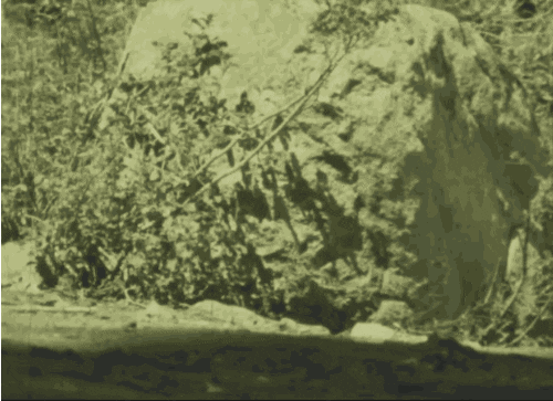 just passing through see you later GIF by US National Archives
