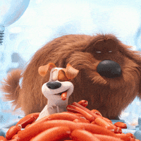 Hot Dogs Food GIF by The Secret Life Of Pets