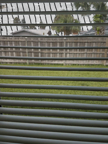 oi101 florida hurricane GIF