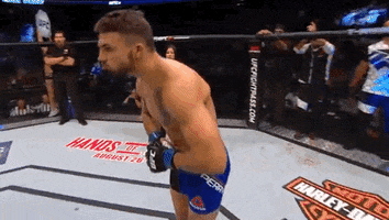 excited ufc 202 GIF