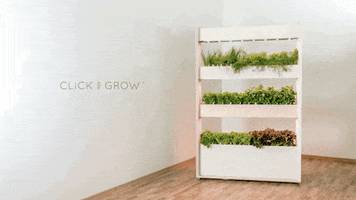 the wall farm by click & grow GIF