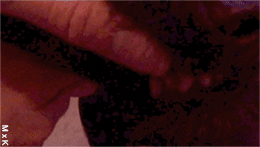 licking art direction GIF by MEGAN X KATHRYN PURVES