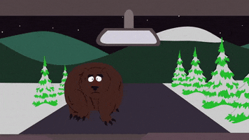 walking bear GIF by South Park 