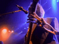 grateful dead touch of grey GIF