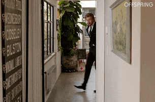 harry suit GIF by Offspring on TEN