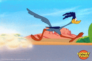 Slow Motion GIF by Looney Tunes