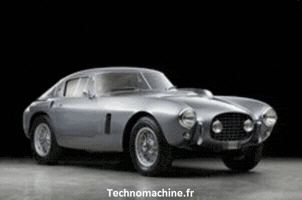 fredericalonso  GIF