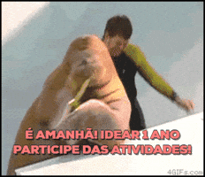 gabrielakurtz  GIF