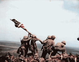 artworkofarmies raising the flag GIF