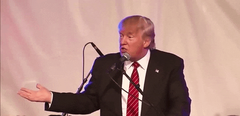 Donald Trump Idk GIF - Find & Share on GIPHY