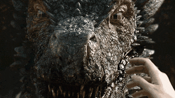 kawannitortega dragon GIF