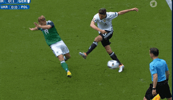 fav euro referee rekt germany vs north ireland GIF