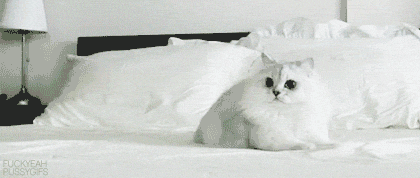 alobuta  GIF