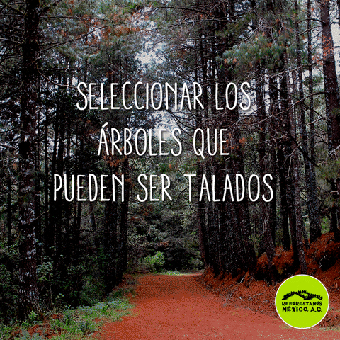 rubenhrodriguez  GIF