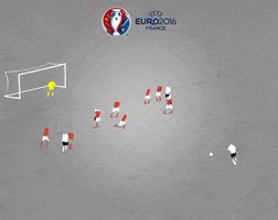 uefa-euro-2016  GIF