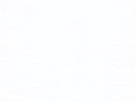 dimitri_g grid foam roller triggerpoint foam rolling GIF