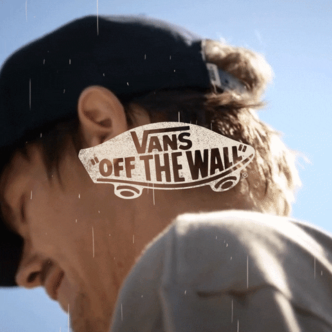 marianoorell skate sk8 vans rowley GIF