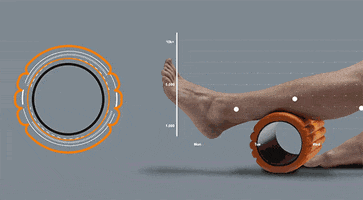 davidsarai foam roll GIF