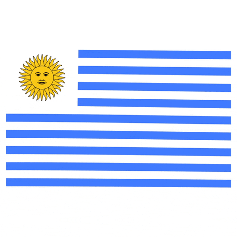 Flag GIFs - Find & Share on GIPHY