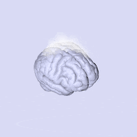 brain boiling GIF by ZinZen
