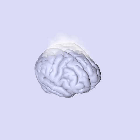 Brain Boiling GIF by ZinZen - Find & Share on GIPHY