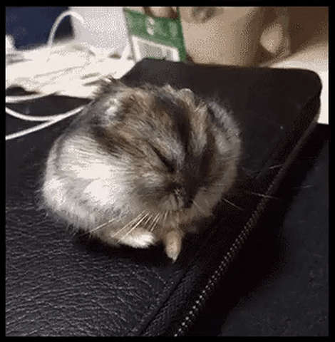 mhmd  GIF
