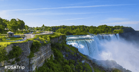 orleans niagara meaning, definitions, synonyms