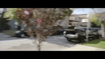 taco exit through the donut hole GIF by Dillon Francis