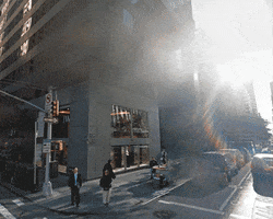 stevedesignsnyc bill cort GIF