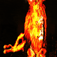 Lion-on-fire GIFs - Get the best GIF on GIPHY Lion-on-fire GIFs - Get the best GIF on GIPHY
