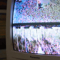 analog distortion GIF by Nadrient