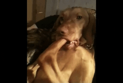 23+ Gif Funny Background