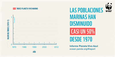 wwf wwf usatupoder GIF