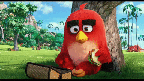 Wink GIF by Angry Birds - Find & Share on GIPHY