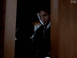 x files GIF by The X-Files