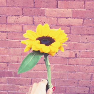 GIF by GIPHY CAM - Find & Share on GIPHY